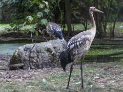 149 BIO PARC DE DOUE LA FONTAINE 7- 2016_000013